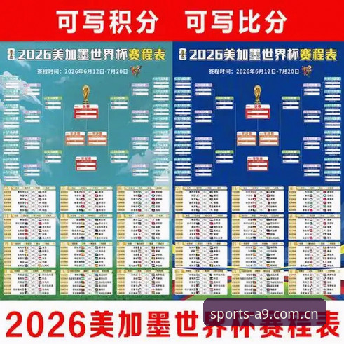 2026世界杯观赛受阻？a9体育平台深度解析签证风波背后的操作教程
